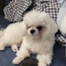 개운하개 이미지