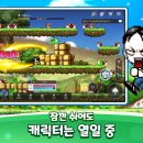 메이플