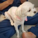 써니메디컬 이미지