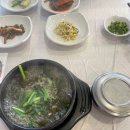 보금자리모텔 | [충북/단양] 어머니와 단둘이 떠난 힐링 기록 🌿 1박 2일 단양 여행 &amp; 제천 의림지