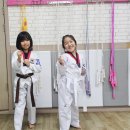 송도 경희대 태권도 이미지