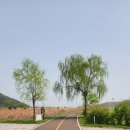 북면생태공원(야구장) | [창원 북면 가볼만한곳] 수변생태공원에서 힐링 데이트코스 완성! 자전거 타며 즐긴 하루