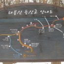 분당수서로 이미지