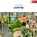순창 앵무새팜 이미지