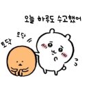 바다의왕자 마린보이 이미지