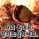 알아두면 유익한정보 이미지