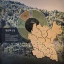 동강할미꽃펜션