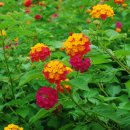 청춘바다 이미지