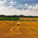 농업회사 토지인 이미지