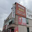 아리댕댕애견카페 | 오산애견카페 댕댕아학교가자 방문후기 강아지 사회성 키우기 좋은 오산애견호텔