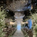 호텔카카오 | [부산 웨딩홀] 센텀호텔 카카오홀 당일 계약 후기(2027년 상반기)