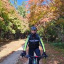 묘량삼효보건진료소 이미지