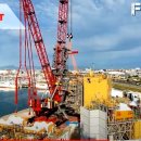 CRANE WORLD 이미지