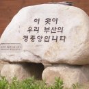 부암3동-15 이미지