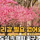남평문씨본리세거지 주차장 안 네이버블로그