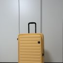 형제세탁 | [트래블기어] 압축캐리어와 함께 연년생 형제의 짐싸기 후기