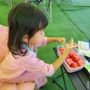 하중도물놀이장 | 대구 하중도 물놀이장 다녀온 후기