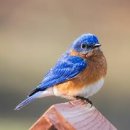 동원아파트(남) 이미지