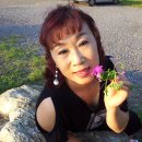 광장콘서트 이미지