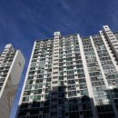 사파동338 이미지