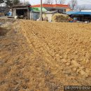 고인돌공인중개사사무소 이미지