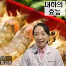 대하전자 이미지
