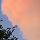 원트 청주점 | 8월의 앨범털이｜청주나들이,대전당일치기,콜게이트 치약,집들이