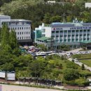 동해시청 신관 네이버블로그