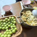 돌멩이 펜션 이미지