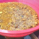 차정희농장 이미지