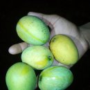 영어와 Craft 이미지