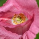 시온체육관 이미지