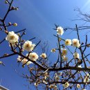 구조라로 2길 이미지