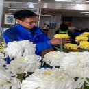 대화면사무소 이미지