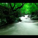 죽계구곡산장 | &lt;자락길따라 영주여행&gt;조선시대 유현들이 유상하던 자취들이 있어 잘 알려진 계곡 ‘죽계구곡’