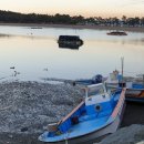 대전해수욕장3 이미지