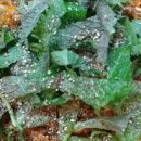 강동-천호-309 이미지