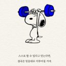 행동유형분석으로 알아보는 자가진단 | 2025 : 지금 바로 나를 알아보는 자가진단 테스트 TOP 10 – MBTI부터 자기애 지수까지!