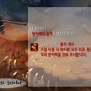 밸런스몬스터