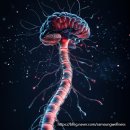 고려웰니스의원 이미지