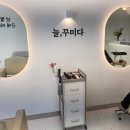 늘꾸미다