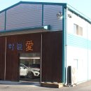 릴리펫 이미지
