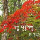 스타호텔 이미지