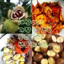 농장고구려 이미지