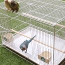 주식회사 리프패럿 네이버블로그