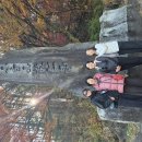 구인사의단풍 이미지