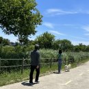 공항교강변공원 이미지