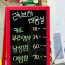 레브하헤어 이미지
