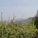 낙원농장2 이미지