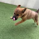 뚜비농장 이미지